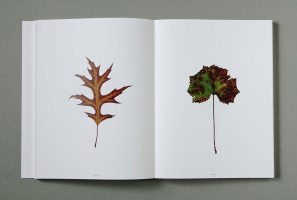 Buch Blätter 1-236